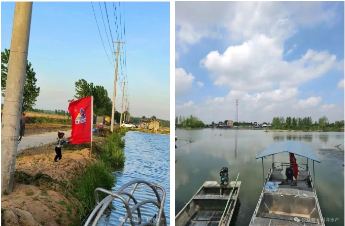 1762130919405943.jpg 12.jpg